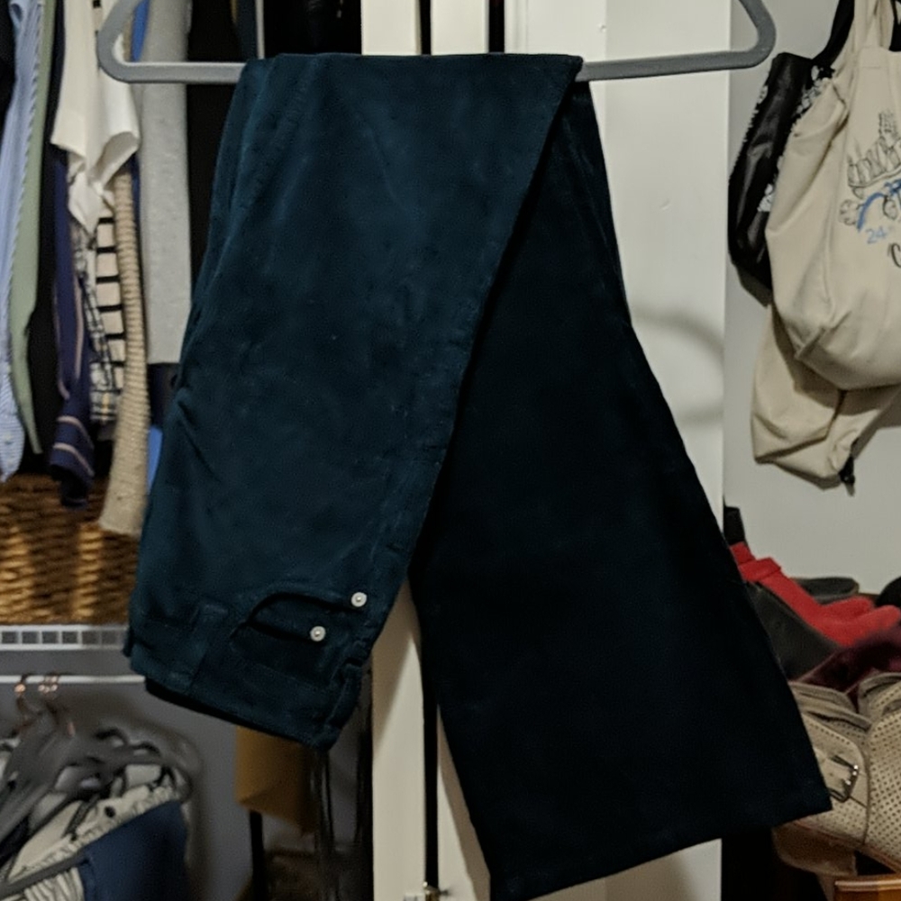 Pilcro courduroy Deeeep Teal pants
